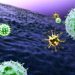 What Are the Most Common Types of Cancer? - Oren Zarifw the body heals itself, World News