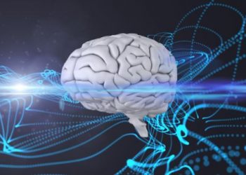 Stroke Symptoms: Are You at a Higher Risk? - Oren Zarif