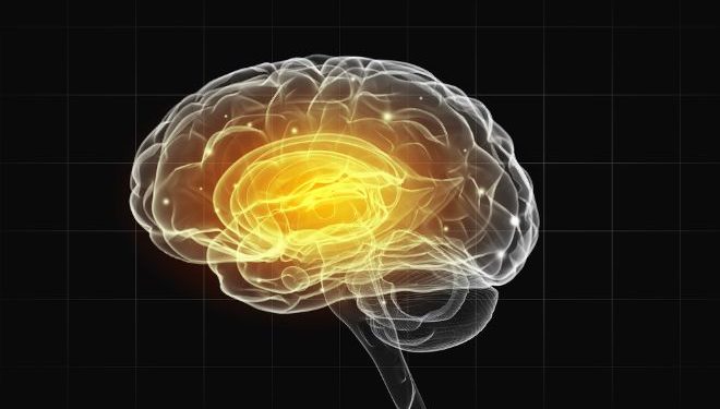 World News, Oren Zarif, Overcome any disease, how the body heals itself