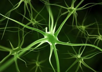 World News, Oren Zarif, psychokinesis, Overcome any disease, how the body heals itself