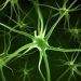 World News, Oren Zarif, psychokinesis, Overcome any disease, how the body heals itself