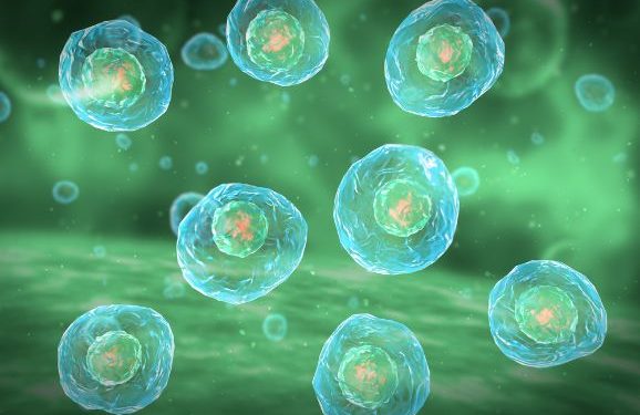 Understanding Different Types of Cancers - Oren Zarifthe body heals itself, World News
