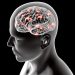 Stroke Symptoms - Oren Zarif