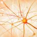 MS Symptoms - Oren Zarif
