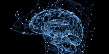 The Stroke Symptoms - Oren Zarif